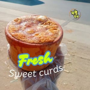 Buy Fresh Yogurt — Bogra Special